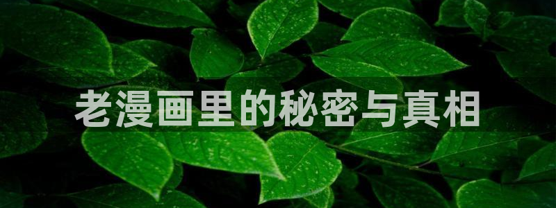 香蕉漫画免费观看下拉式